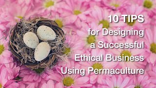 Permaculture Design & Enterprises / 10 Tips for Successful Ethical Businesses @PermacultureMagazine