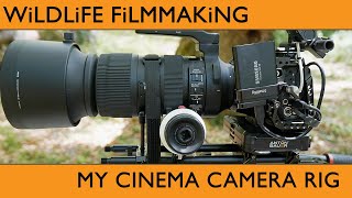Breaking down my Cinema Camera Rig : BMPCC6K + Sigma 60600mm
