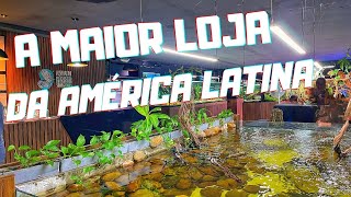 TOUR COMPLETO PELA MAIOR LOJA DE AQUARISMO DA AMÉRICA LATINA !!!