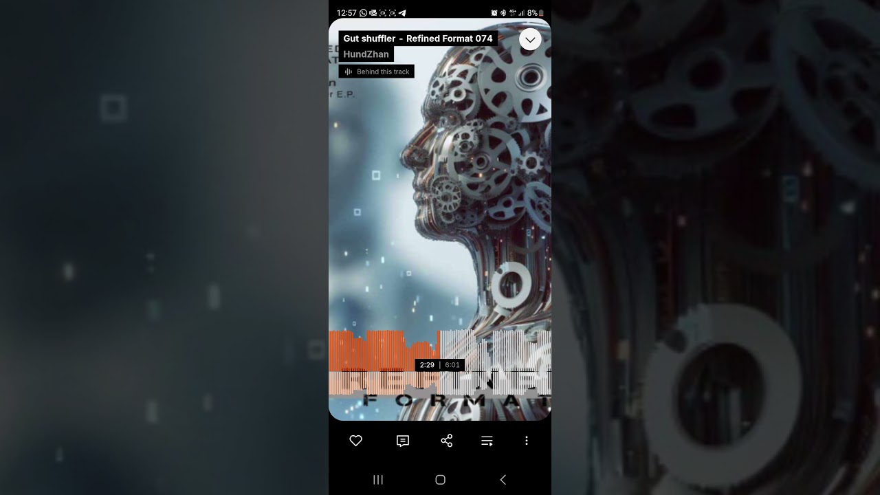 Hundzhan - Gut Shuffler - Gut Shuffler EP - Refined Format 074 