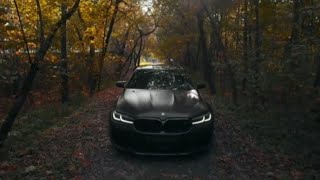Autumn In Moscow - M5 F90 LCI LIMMA