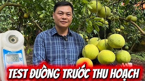 TEST ĐỘ ĐƯỜNG | VƯỜN BƯỞI DIỄN | HÁT MÔN - HÀ NỘI