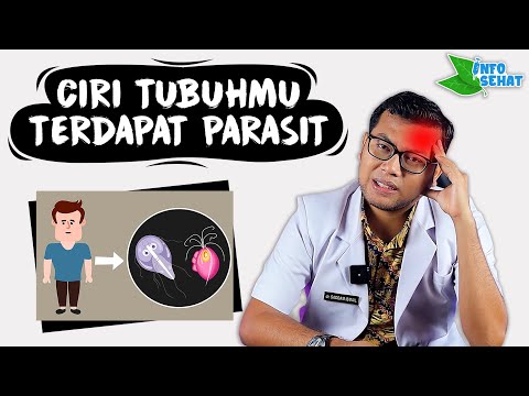 Video: Adakah Anjing Anda Memiliki Parasit Usus?