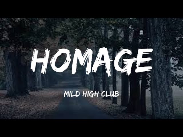 Mild High Club - Homage (Lyrics) class=