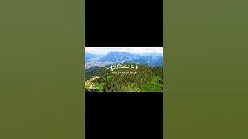 سوره الاخلاص بصوت #يزن_المشولي #محمد_مهيوب_السعدي #القرآن_الكريم #اكسبلور #دويتو @minbar_taiz