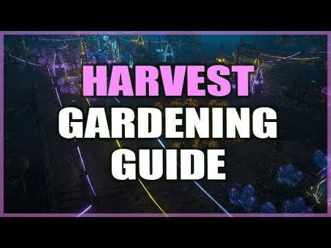 PATH of EXILE HARVEST Gardening Guide for Confused Exiles