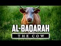 2 - Surah Al-Baqarah Full | Sheikh Mishary Rashid Alafasy With Arabic Text (HD)