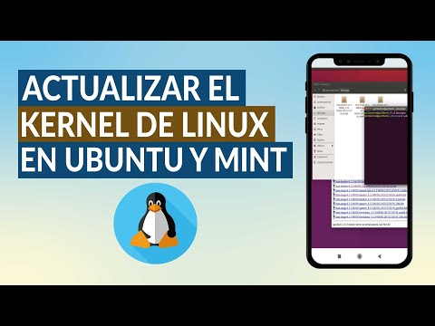 ¿Cómo Actualizar el Kernel de Linux en Ubuntu y Mint? - Configuración Sin Error