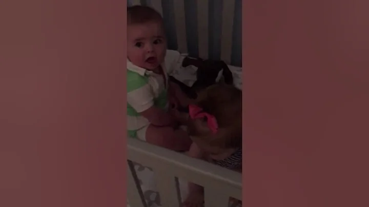 Baby has a case of the giggles! This little guy wi...