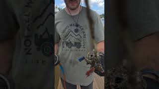 MAGNET FISHING AND CLEANING THE WATERWAYS #magnetfishing #shortsfeed #fishing