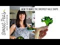 FOOLPROOF Crispy Kale Chips + 4 Seasonings