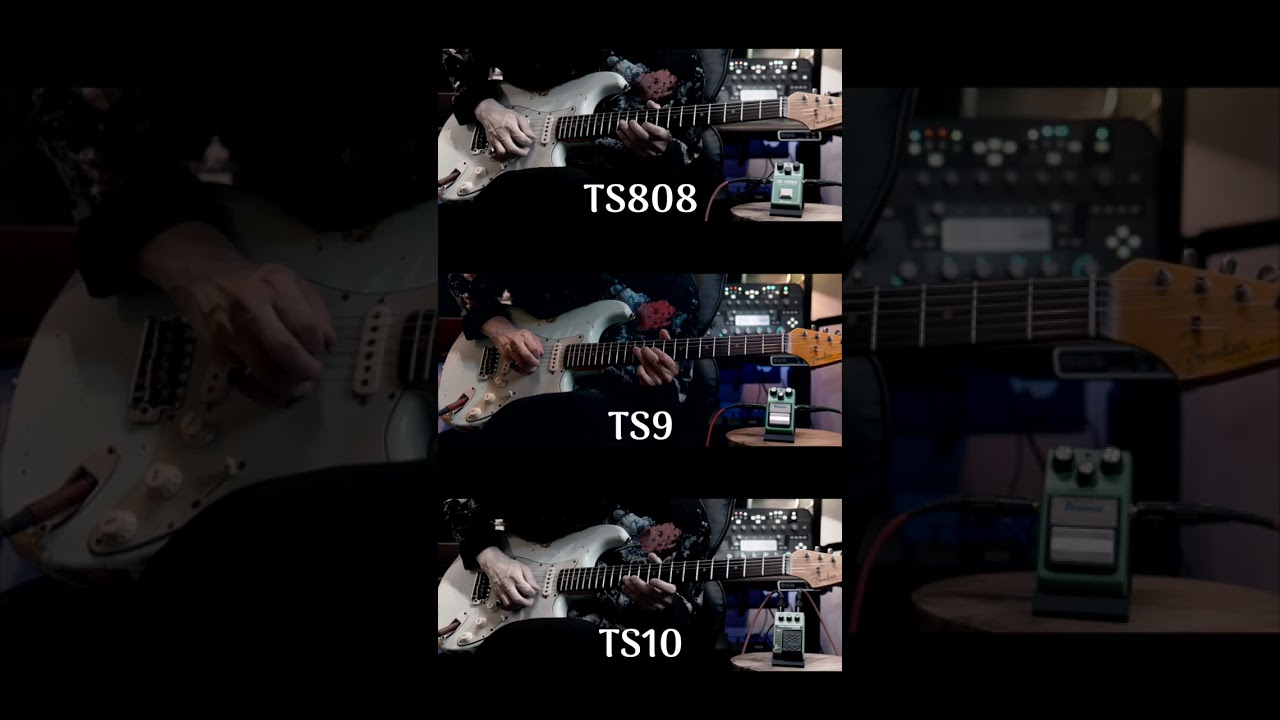 Tube Screamer比較｜TS808 vs TS9 vs TS10 あなたはどれ派？ #shorts