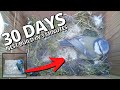 30-day Nest Build in 3 Minutes