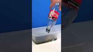 Coca Cola, Fanta, Sprite and Mentos | Experiment #Shorts