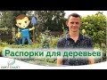 Распорки и подвязки для деревьев. Зачем? Когда? Как?