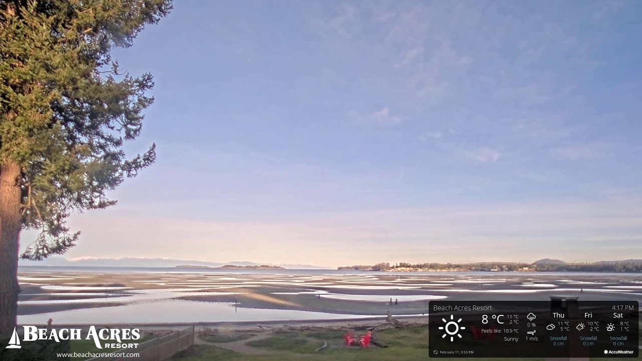 Beach Acres Resort Live Webcam