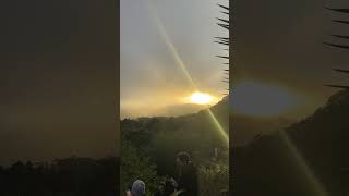 IMG 5518