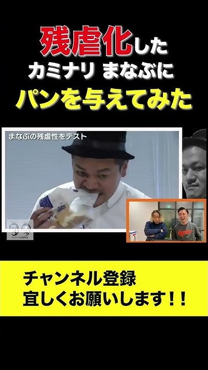 カミナリの記録映像 公式 Youtube