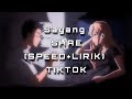 Sayang  ( Sayang Apa kabar denganmu) • Shae / LIRIK + (SPEED UP ) TIKTOK