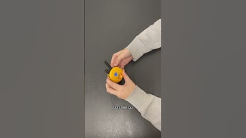 How to Change Your Round Transmitter from 1 Dog to 2 Dog