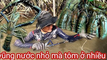 Quá Trời Cái Vũng Nhỏ Mà Tôm Hết Nói Nổi Luôn /Đạt Nguyễn Cần Giờ