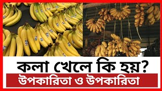 খালি পেটে কলা খেলে কি হয় | কলার উপকারিতা ও অপকারিতা  | কলার উপকারিতা | benefits of banana | TISI BD