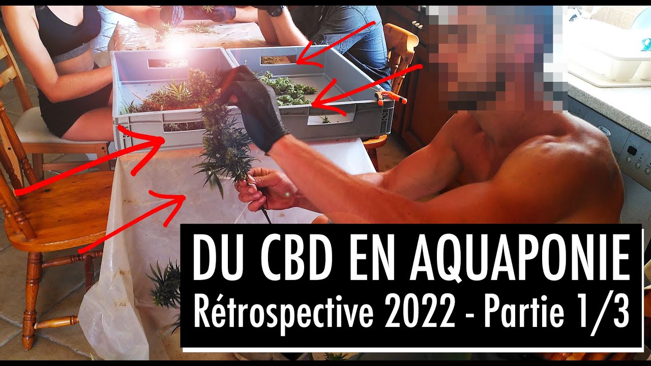 Une ferme de cannabis en France et en aquaponie! (Episode 1/3)