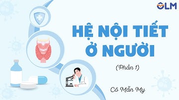Hệ nội tiết ở người (phần 1) - Khoa học tự nhiên 8 - OLM.VN