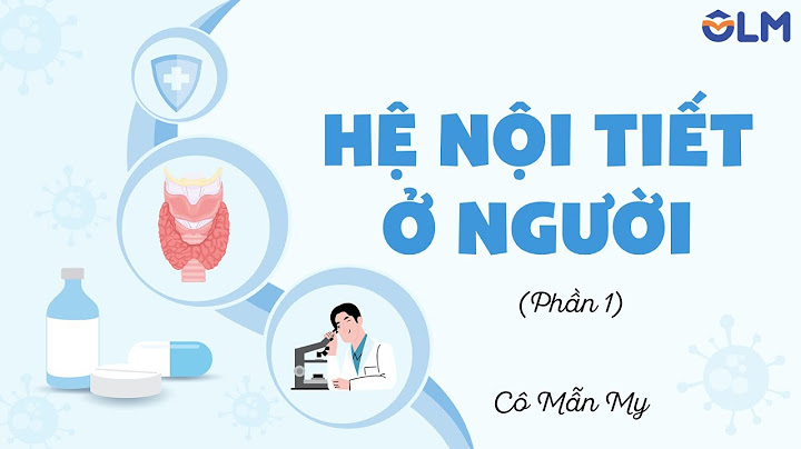 Chức năng của hóc môn tuyến sinh dục là gì năm 2024