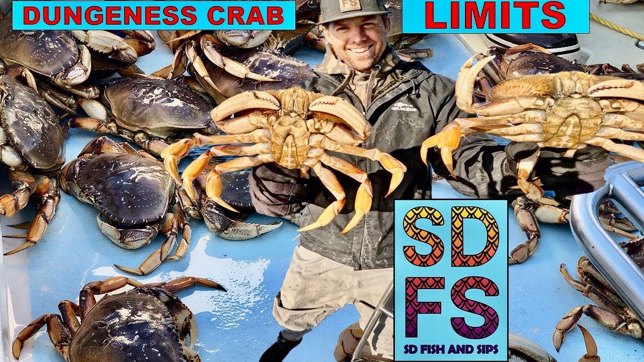 Dungeness Crab Limits | Fishing Monterey Bay Moss Landing Northern California | SDFS November 2023