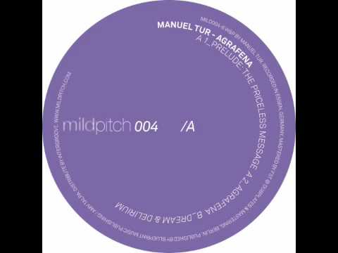 Manuel Tur — Manuel Tur - Prelude: The Priceless Message - Mild Pitch 004