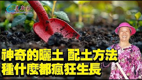 神奇的曬土，配土方法，種什麼都瘋狂生長！ - 天天要聞