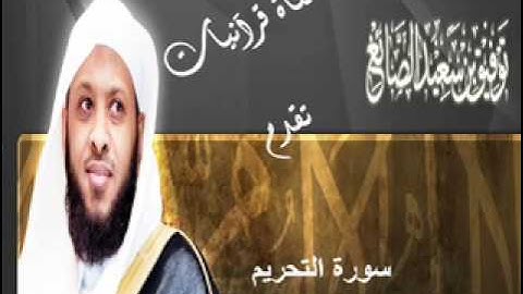سورة التحريم - توفيق الصايغ