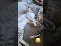 Crystal video