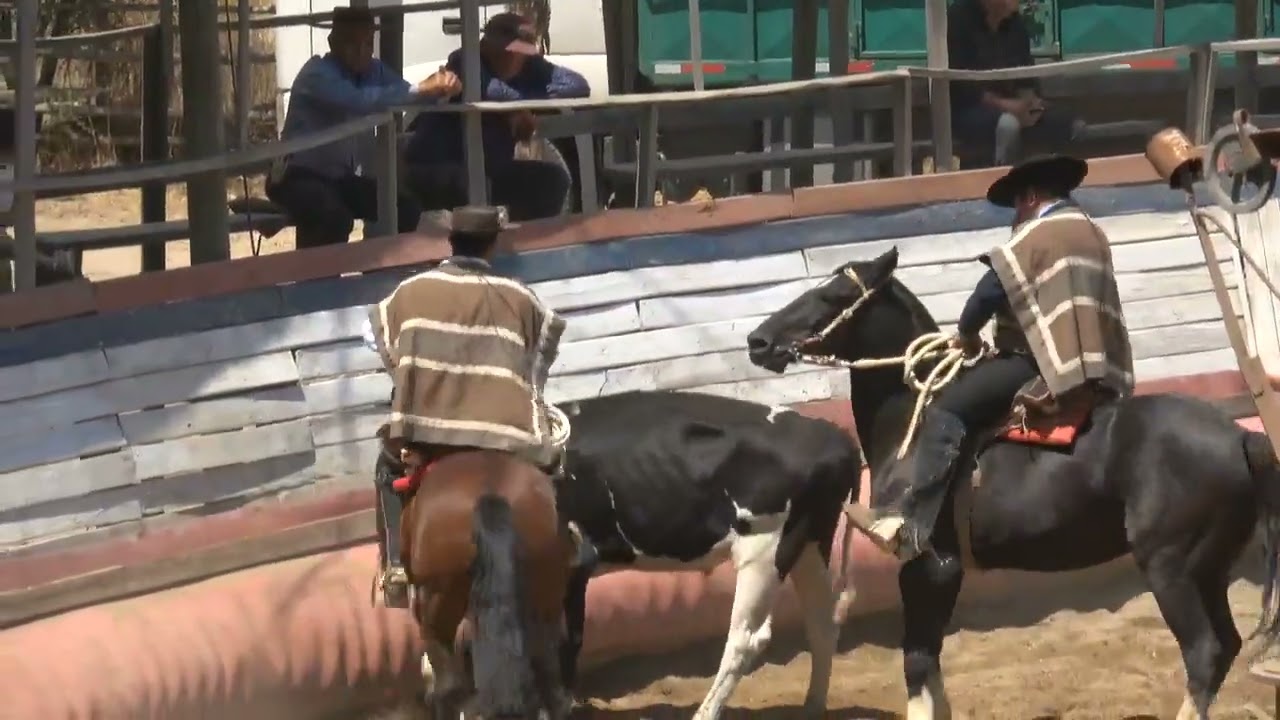 5TA SERIE RODEO ASOCIACIÓN ENTRE COSTA Y VALLES