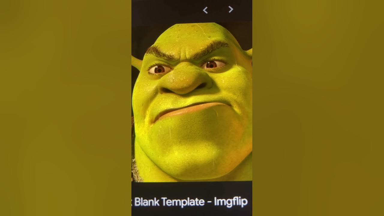 happy shrek meme Blank Template - Imgflip