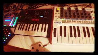 WanderJam: Timbre Wolf + Monologue