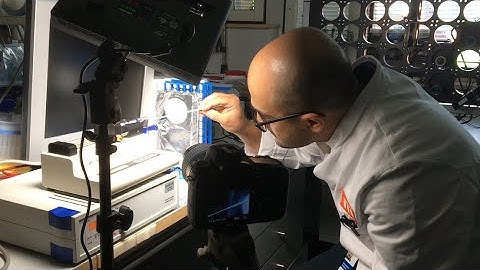 Biosynthetic Spider Silk