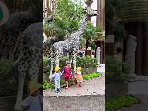 Video Chuyện tình biển xanh. Đội hình lố nhố ???? - youtube