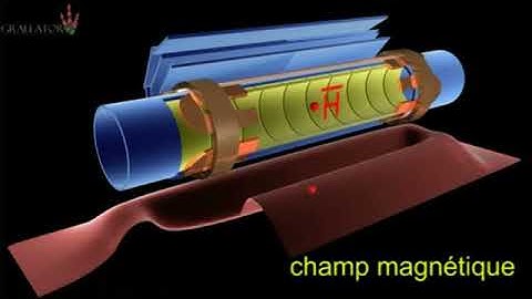 L-experience ALPHA Animation.flv