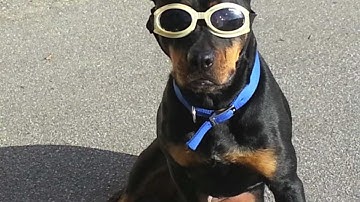 FX GURU TEST TRAILER