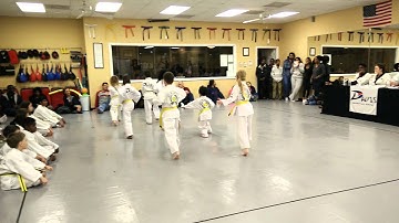 Tang Soo Do Basic Form #1