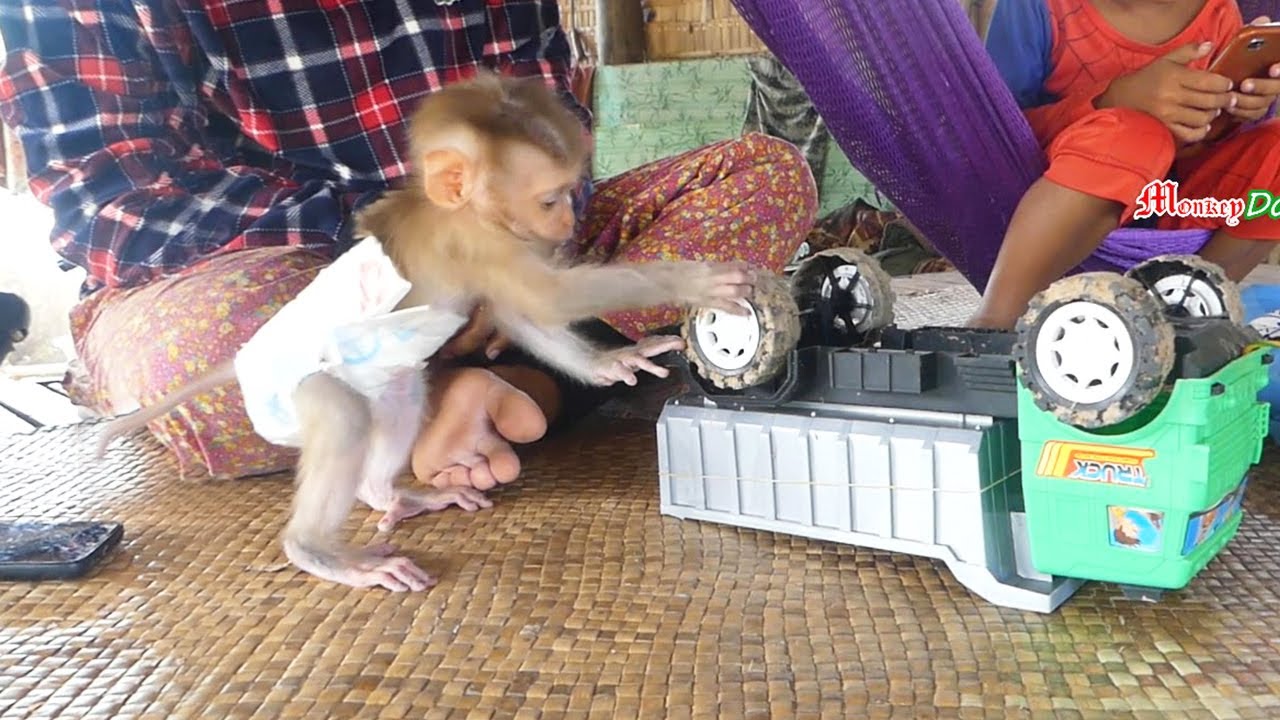 Tini Biden Usinq Talent Eager Play With His Car Toy