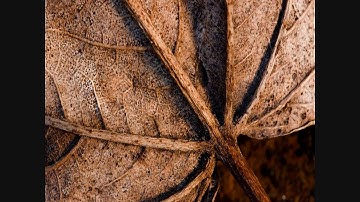 lmms- 7th orchestral no plugins