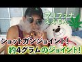 【巨大】ショットガンジョイントの巻き方！