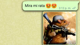 Mira Rata tiene un Arm😱 (bromas de WhatsApp) 😹