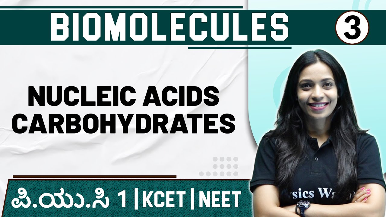 BIOMOLECULES 03 Nucleic Acids & Carbohydrates Botany PUC 1