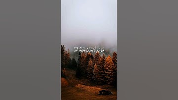 #ماهرالمعيقلي #سورة_الفجر  #قران_كريم  #quran