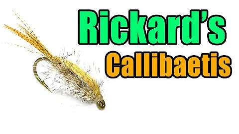 Rickard's Callibaetis Nymph Fly Tying - Denny Rick...