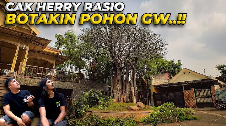 SELURUH POHON DI DEHAKIMS DI INSPEKSI CAK HERRY RASIO